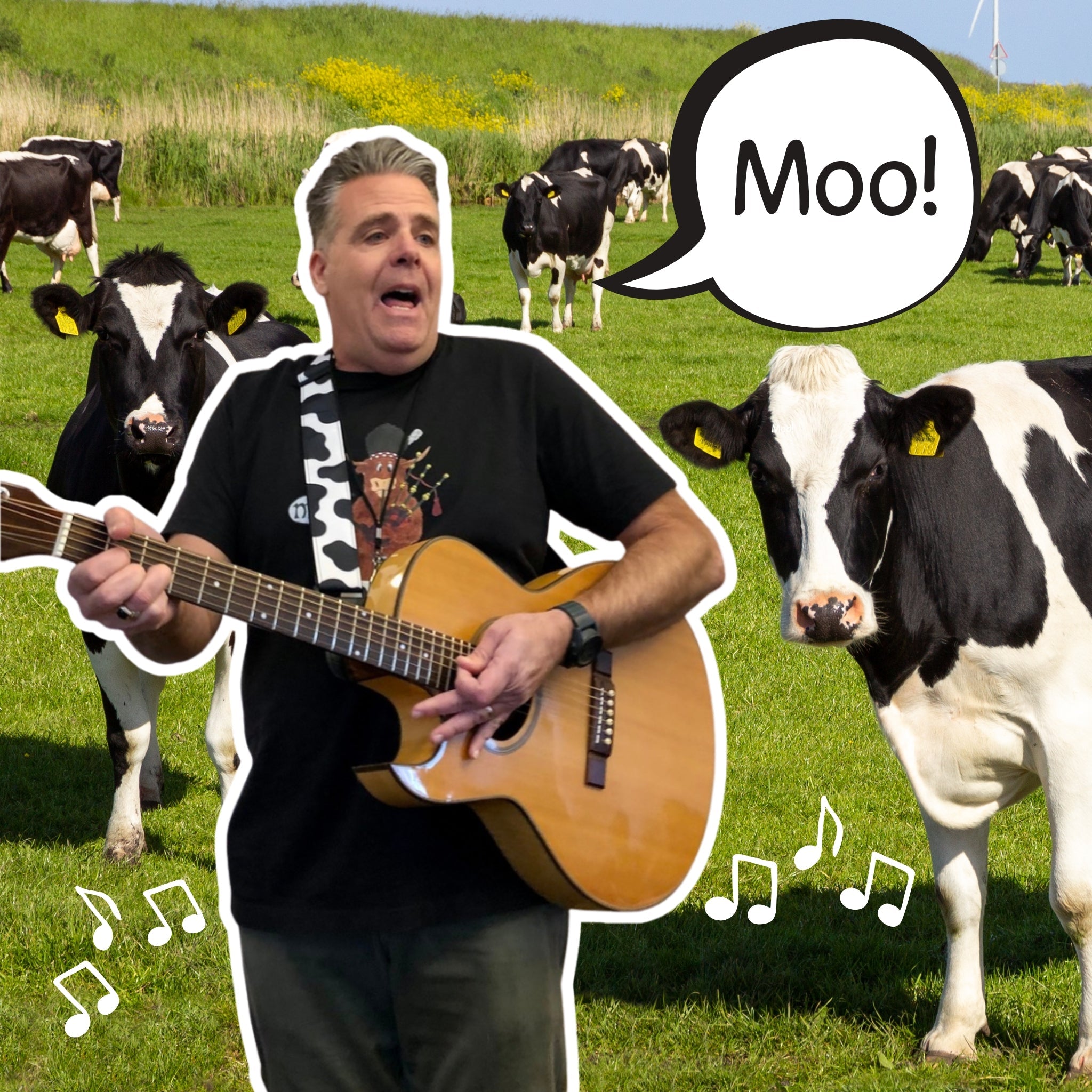 From Moo-sician to Author: My Udderly Unexpected Journey